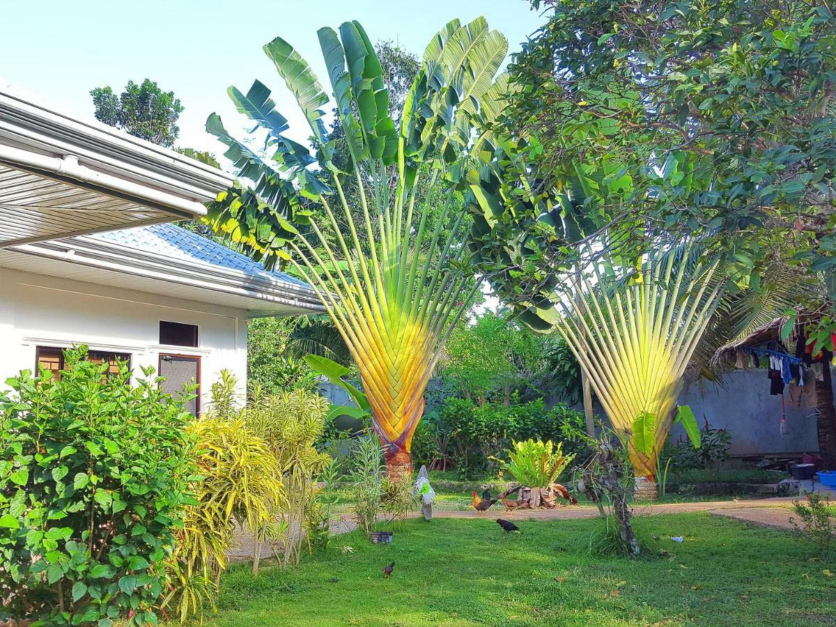Mj Room Rental Panglao Exterior photo